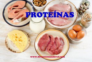 Proteínas e Músculos