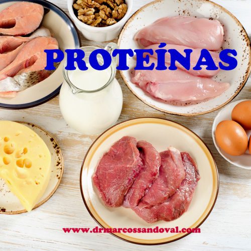 Proteínas e Músculos