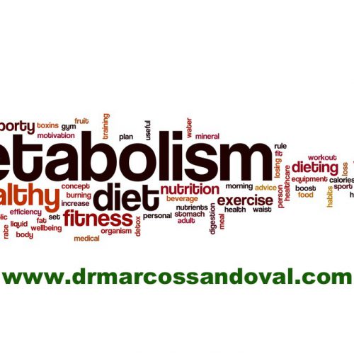 Alimentos Termogênicos e Metabolismo